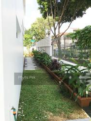 Shamrock Park (D10), Terrace #153499092